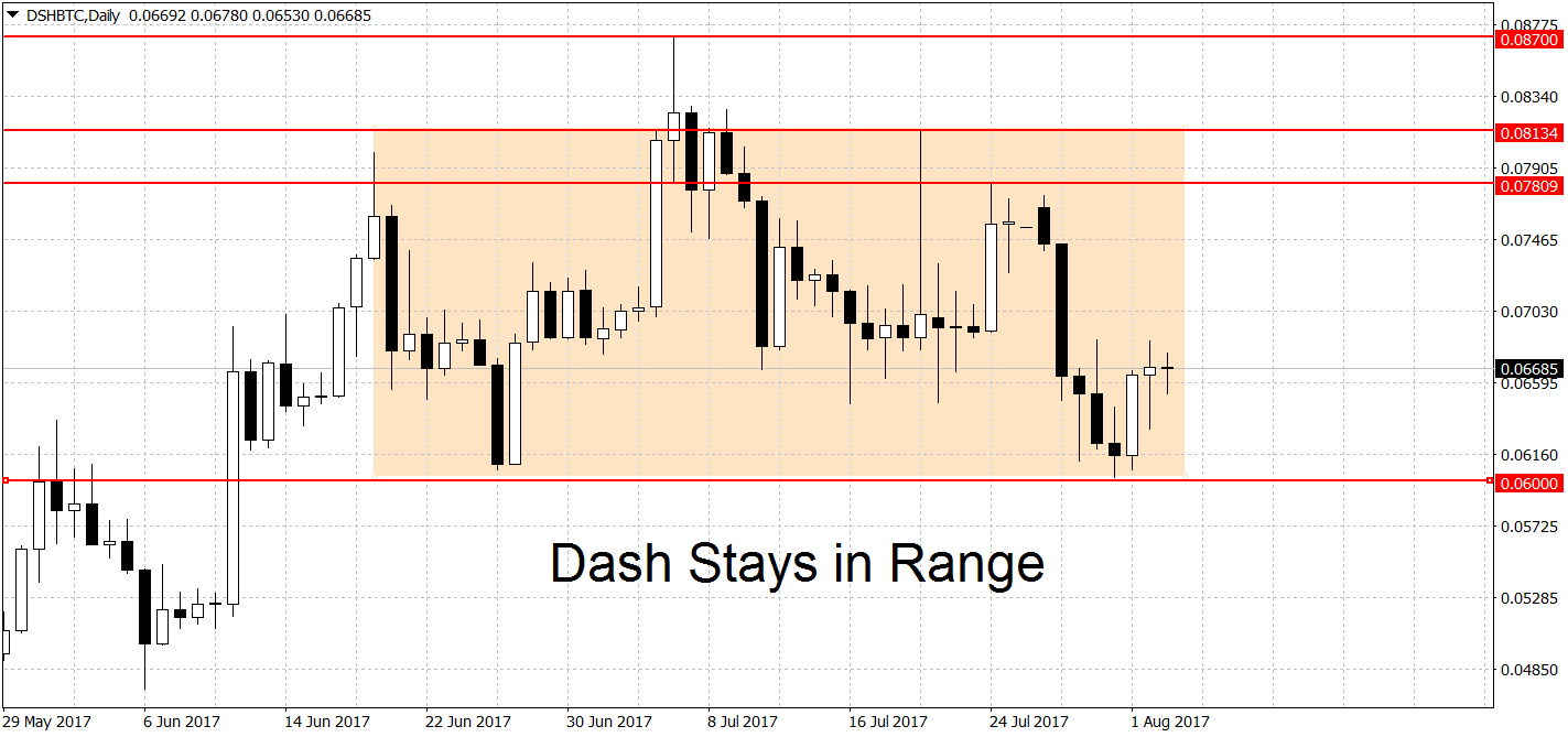 dshbtcdaily-aug3-copy