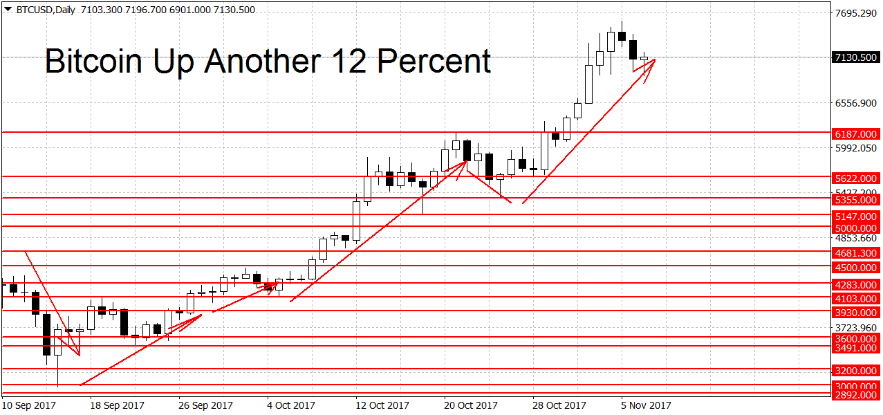 btcusddaily-nov7-copy