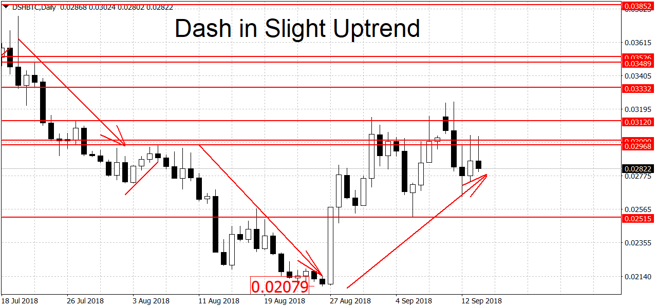 Dash растет, несмотря на нисходящий тренд на рынке альткоинов
